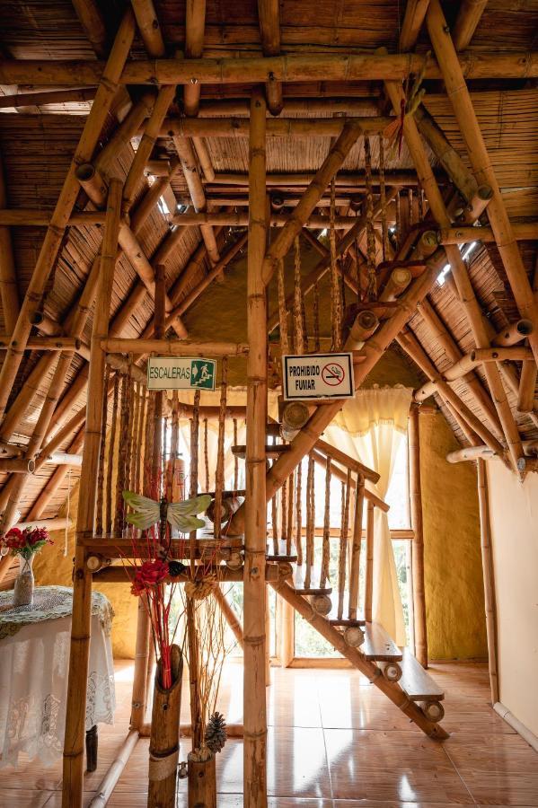 Chalet Ecoturismo La Nohelia Jericoc  Buitenkant foto