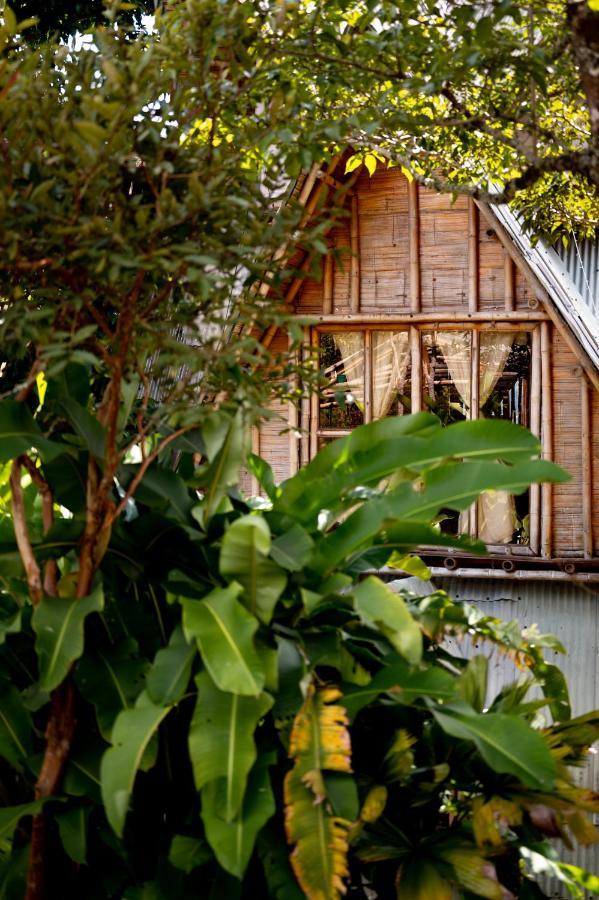 Chalet Ecoturismo La Nohelia Jericoc  Buitenkant foto