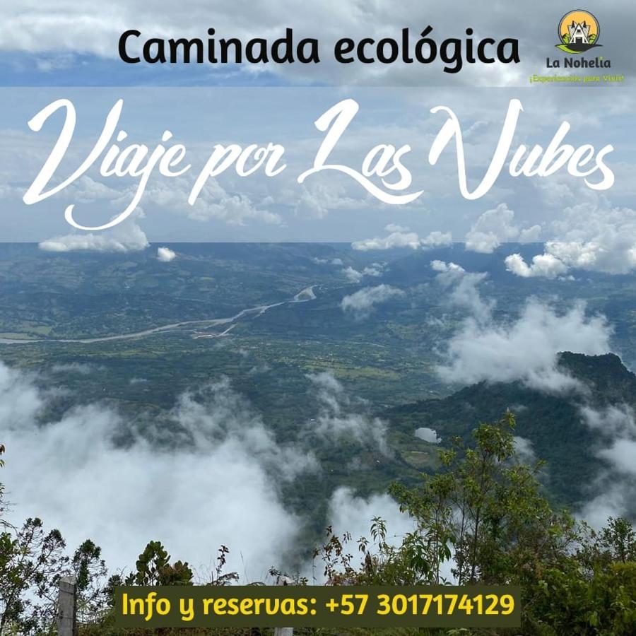 Chalet Ecoturismo La Nohelia Jericoc  Buitenkant foto